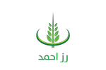 Ahmed Rice